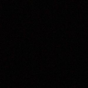 Meet your Posher, Jett